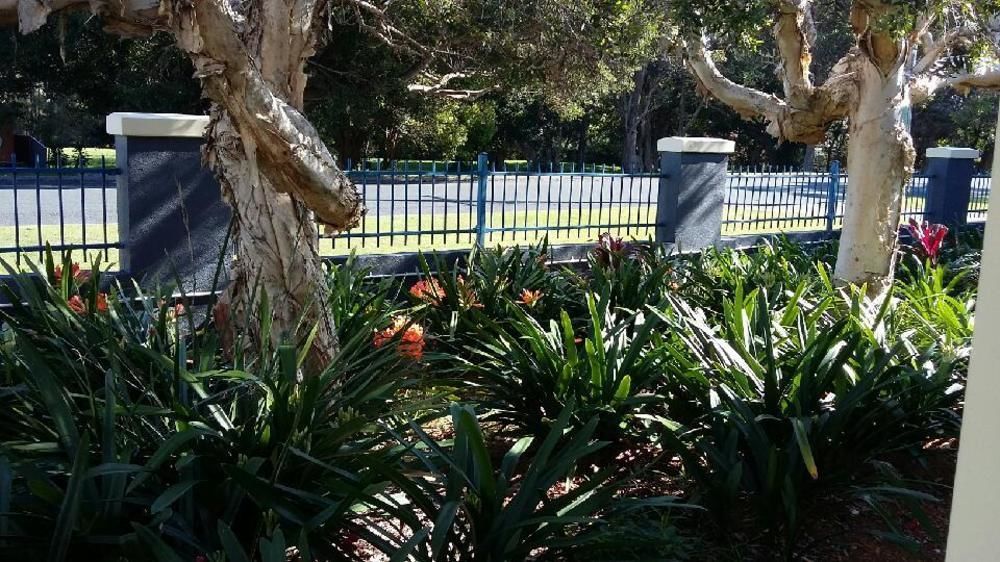 Forster Holiday Village Exterior foto